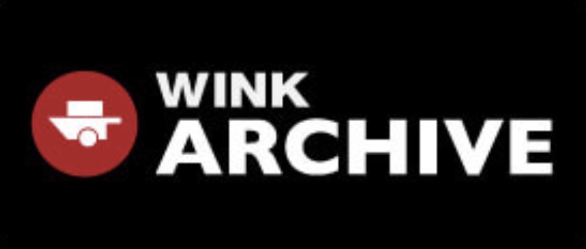 WINK Archive AI-Powered Video Storage